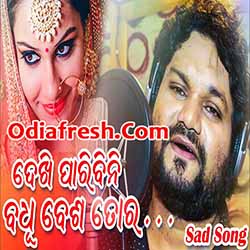 Dekhi Paribini Badhu Besa Tora New Sad Song By (Humane Sagar)